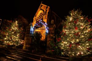 phone box haworth christmas tree sm-c25.jpg